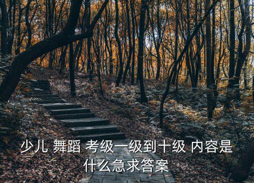 舞蹈8级考级内容,中国舞蹈考级证书:由中央歌剧舞剧院颁发