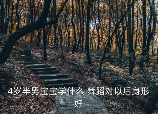 4岁半男宝宝学什么 舞蹈对以后身形好