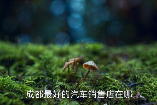 成都瑞琪舞蹈,比亚迪卖的还可以但你态度无论如何还是要跟进的