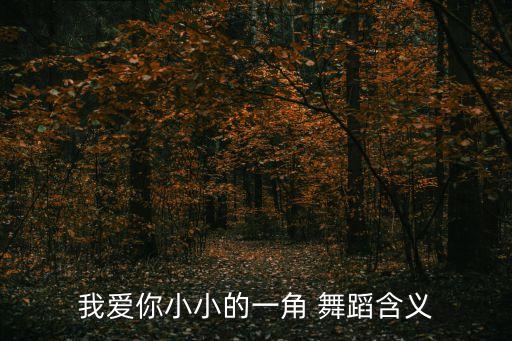 我爱你小小的一角 舞蹈含义