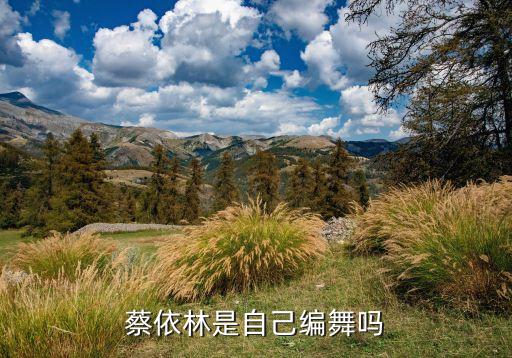 蔡依林是自己编舞吗