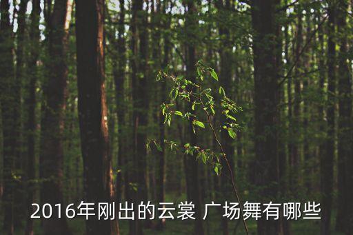 2016年刚出的云裳 广场舞有哪些