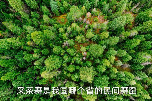 洪洞阳光舞蹈队采茶舞,《绣球舞》适合你跳吗?答案:不适合