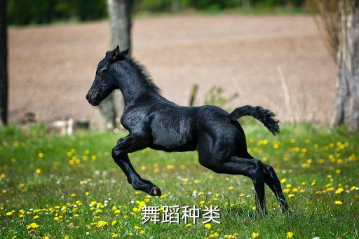 顶碗舞是剧烈舞蹈吗,顶碗舞起源与佛教有一定关系