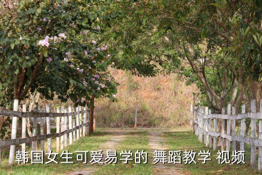 韩国女生可爱易学的 舞蹈教学 视频