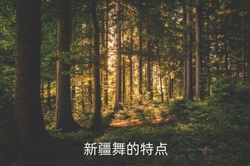 最美的是我们新疆舞蹈,新疆舞蹈灵动优雅具有浓厚西部风格
