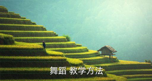  舞蹈 教学方法