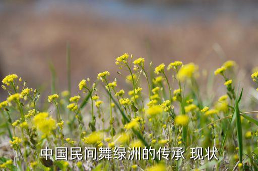 中国民间舞绿洲的传承 现状