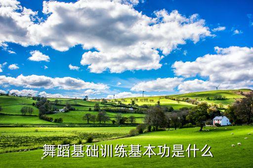 舞蹈古典基训擦地讲解,舞蹈基本功训练技巧:1.2级