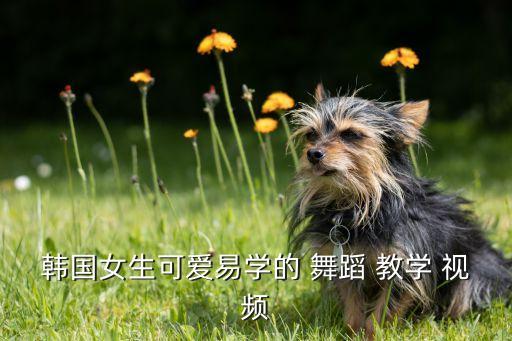 韩国女生可爱易学的 舞蹈 教学 视频