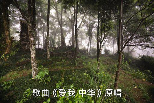 歌曲《爱我 中华》原唱