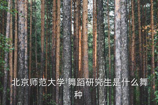  北京师范大学 舞蹈研究生是什么舞种