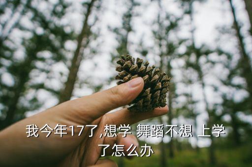 我今年17了,想学 舞蹈不想 上学了怎么办