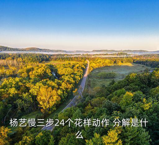 杨艺慢三步24个花样动作 分解是什么