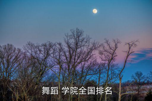  舞蹈 学院全国排名