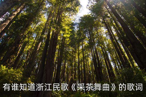 有谁知道浙江民歌《采茶舞曲》的歌词