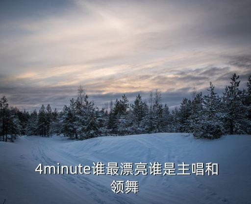  4minute谁最漂亮谁是主唱和领舞