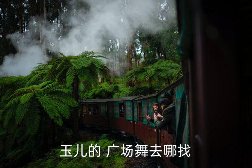 玉儿的 广场舞去哪找