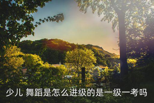 少儿 舞蹈是怎么进级的是一级一考吗