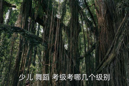 民族舞蹈四级考级视频,中国舞蹈考级分布如何获取证书