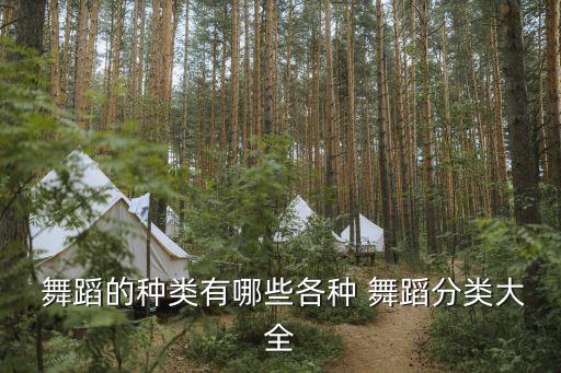 4男女的舞蹈,舞蹈知多少（一）