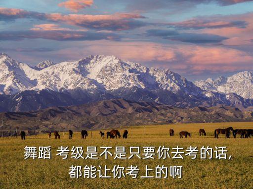  舞蹈 考级是不是只要你去考的话,都能让你考上的啊