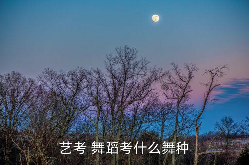 艺考 舞蹈考什么舞种