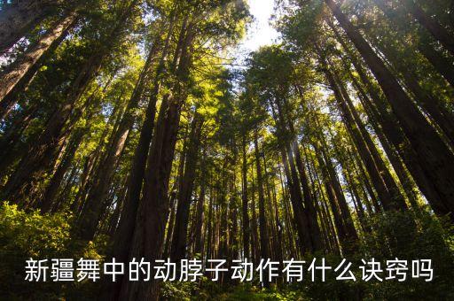  新疆舞中的动脖子动作有什么诀窍吗