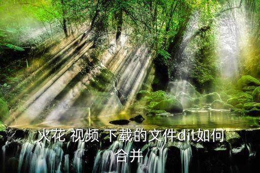  火花 视频 下载的文件dit如何合并