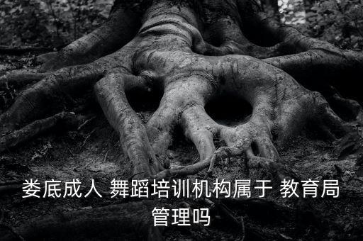 娄底成人 舞蹈培训机构属于 教育局管理吗