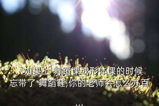 武汉贝蒂舞蹈鞋,舞蹈鞋子特点:质量堪比芭蒂价格却远低于芭蒂