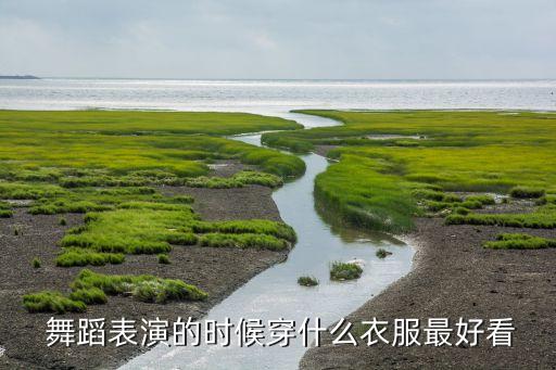  舞蹈表演的时候穿什么衣服最好看