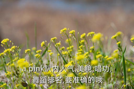 a pink队内人气,美貌,唱功, 舞蹈排名,要准确的哦
