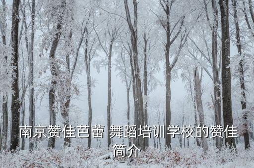  南京赞佳芭蕾 舞蹈培训学校的赞佳简介