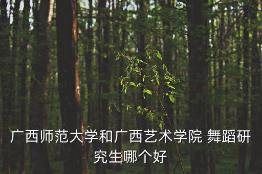 广西师范大学和广西艺术学院 舞蹈研究生哪个好