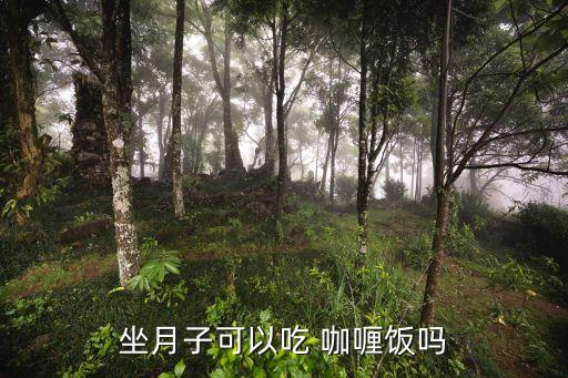 坐月子可以吃 咖喱饭吗