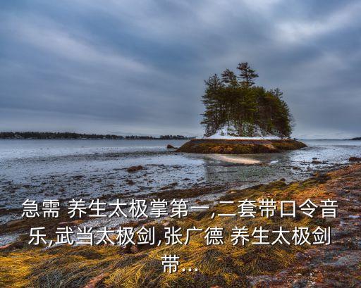 急需 养生太极掌第一,二套带口令音乐,武当太极剑,张广德 养生太极剑带...