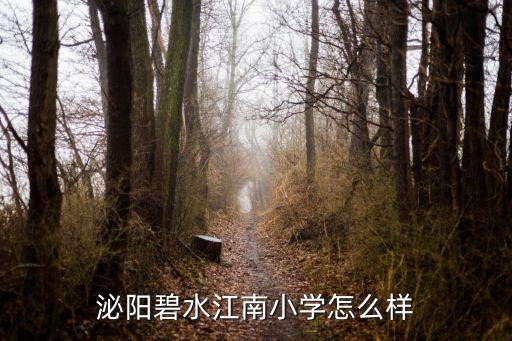 泌阳学舞蹈,泌阳新时代实验学校有何来头?