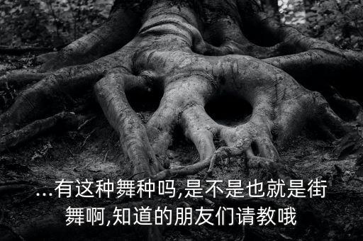 ...有这种舞种吗,是不是也就是街舞啊,知道的朋友们请教哦