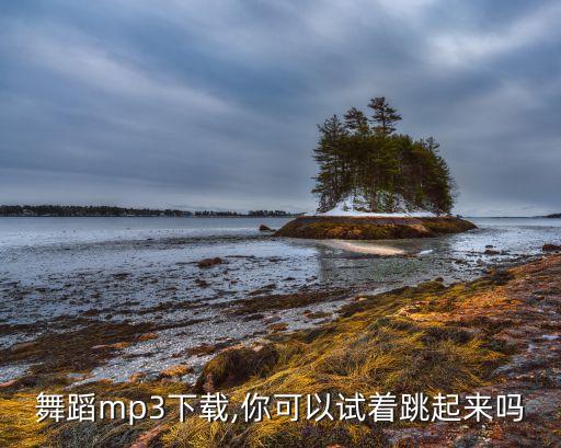 儿童舞蹈mp3下载,你可以试着跳起来吗?