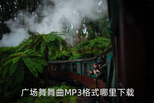 太极拳网舞蹈屋广场舞东方红,推荐几个可以直接下载歌曲的网站