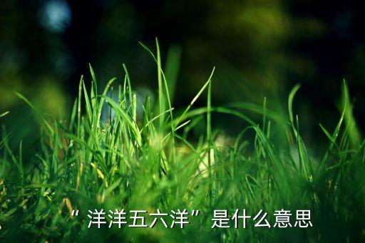 “ 洋洋五六洋”是什么意思