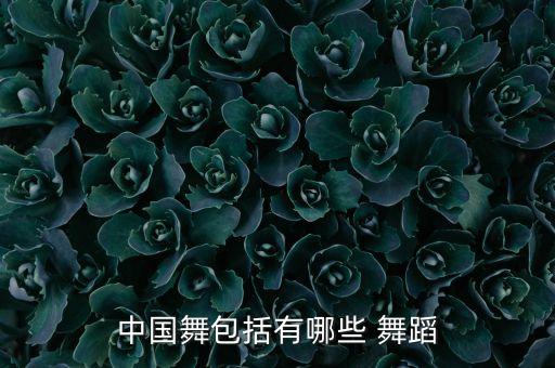 中国舞包括有哪些 舞蹈