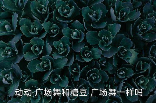  动动 广场舞和糖豆 广场舞一样吗