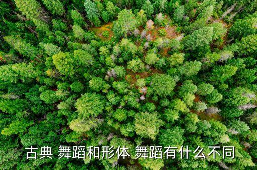  古典 舞蹈和形体 舞蹈有什么不同
