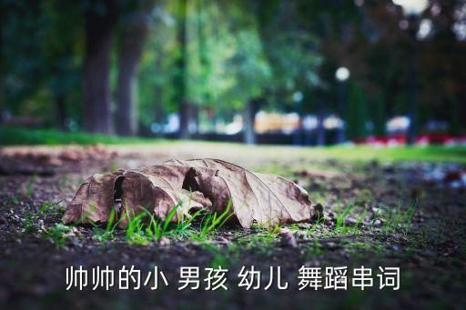 帅帅的小 男孩 幼儿 舞蹈串词