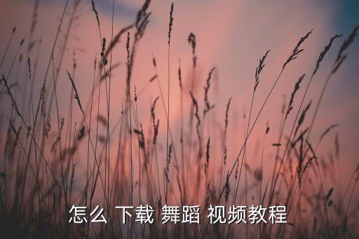 舞十舞蹈视频下载,中老年健身广场舞十六步网上找视频!