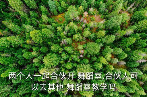 两个人一起合伙开 舞蹈室,合伙人可以去其他 舞蹈室教学吗