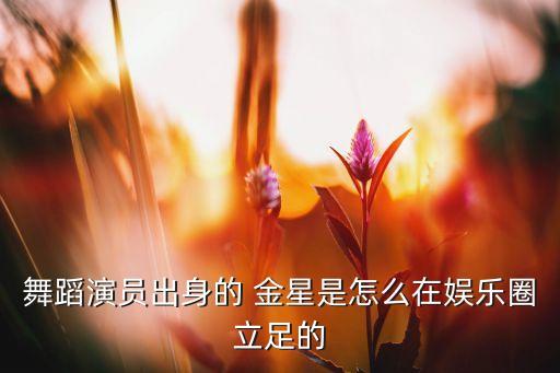 舞蹈演员出身的 金星是怎么在娱乐圈立足的