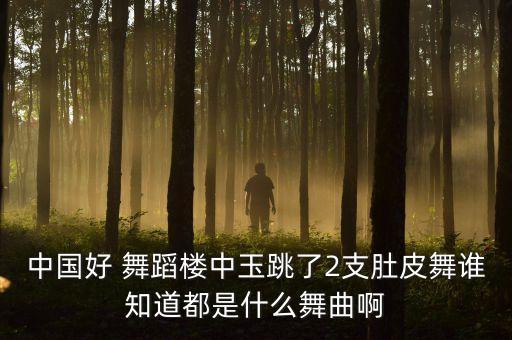 中国好 舞蹈楼中玉跳了2支肚皮舞谁知道都是什么舞曲啊